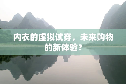 内衣的虚拟试穿，未来购物的新体验？