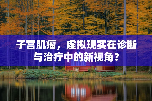 子宫肌瘤，虚拟现实在诊断与治疗中的新视角？