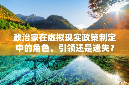 政治家在虚拟现实政策制定中的角色，引领还是迷失？