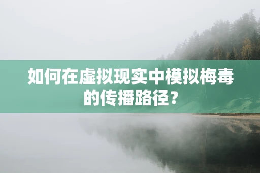 如何在虚拟现实中模拟梅毒的传播路径？