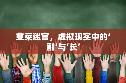 韭菜迷宫，虚拟现实中的‘割’与‘长’