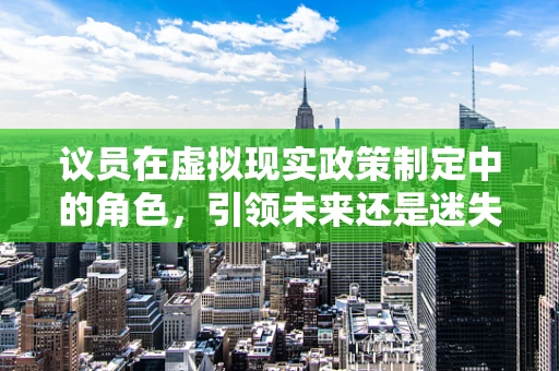 议员在虚拟现实政策制定中的角色，引领未来还是迷失于技术迷雾？