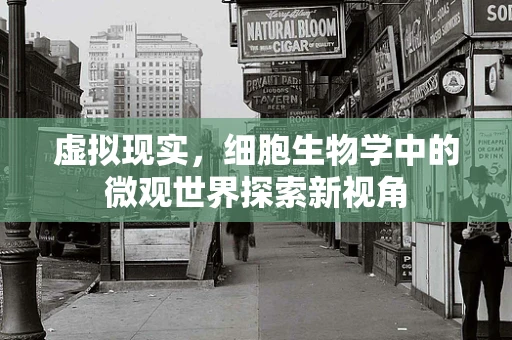 虚拟现实，细胞生物学中的微观世界探索新视角