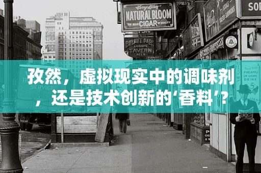 孜然，虚拟现实中的调味剂，还是技术创新的‘香料’？