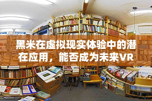 黑米在虚拟现实体验中的潜在应用，能否成为未来VR的‘超级食材’？