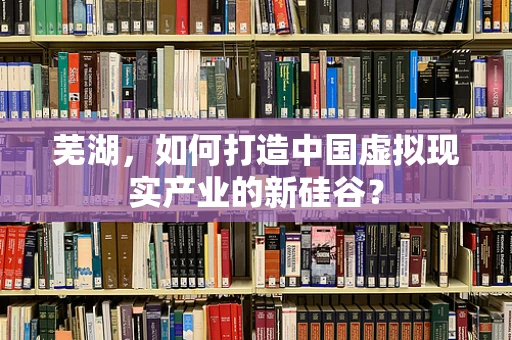 芜湖，如何打造中国虚拟现实产业的新硅谷？