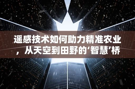 遥感技术如何助力精准农业，从天空到田野的‘智慧’桥梁