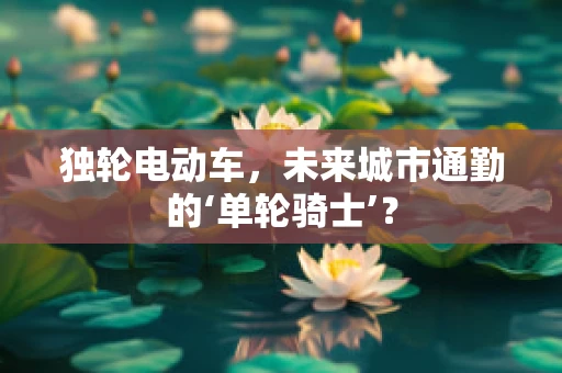 独轮电动车，未来城市通勤的‘单轮骑士’？
