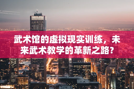 武术馆的虚拟现实训练，未来武术教学的革新之路？