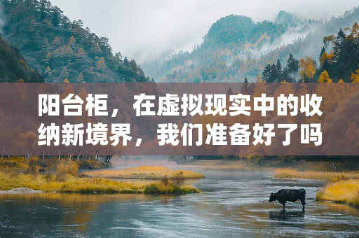 阳台柜，在虚拟现实中的收纳新境界，我们准备好了吗？