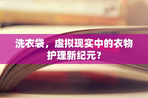 洗衣袋，虚拟现实中的衣物护理新纪元？