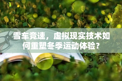 雪车竞速，虚拟现实技术如何重塑冬季运动体验？