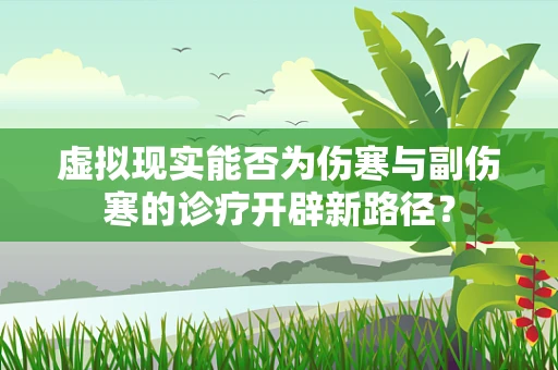 虚拟现实能否为伤寒与副伤寒的诊疗开辟新路径？