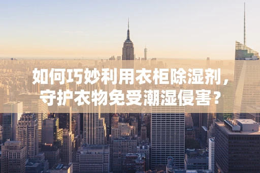 如何巧妙利用衣柜除湿剂，守护衣物免受潮湿侵害？